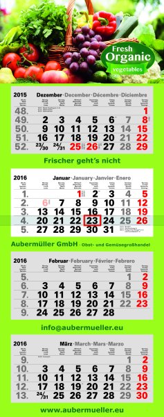 4 Monatskalender Plus Eins